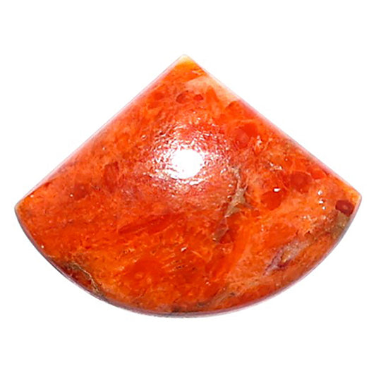 Red Sponge Coral 15.1x20x4 mm Fancy Shape Polished Gemstone LS156-09121