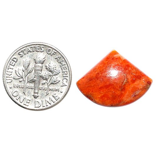 Red Sponge Coral 15.1x20x4 mm Fancy Shape Polished Gemstone LS156-09121