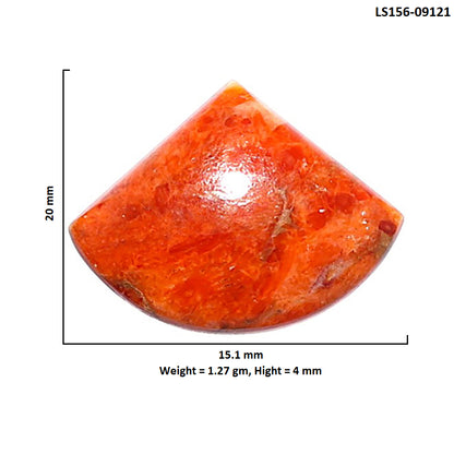 Red Sponge Coral 15.1x20x4 mm Fancy Shape Polished Gemstone LS156-09121