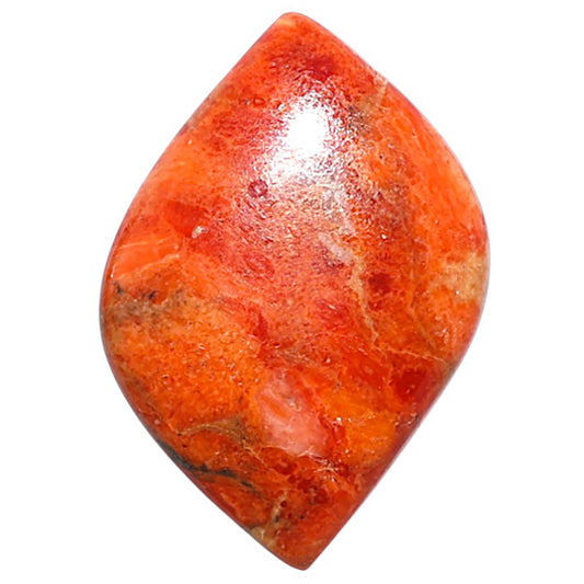 Red Sponge Coral 17x25.8x4 mm Fancy Shape Polished Gemstone LS156-09122