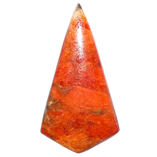 Red Sponge Coral 14.5x27.5x3.5 mm Fancy Shape Polished Gemstone LS156-09123