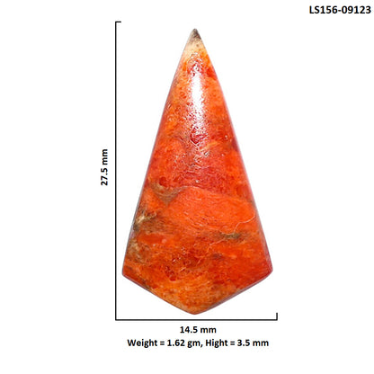 Red Sponge Coral 14.5x27.5x3.5 mm Fancy Shape Polished Gemstone LS156-09123