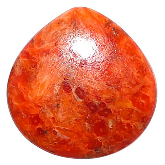 Red Sponge Coral 16.1x16.5x3.2 mm Heart Shape Polished Gemstone LS156-09124