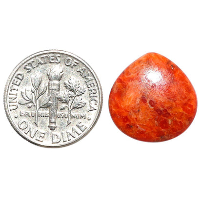Red Sponge Coral 16.1x16.5x3.2 mm Heart Shape Polished Gemstone LS156-09124