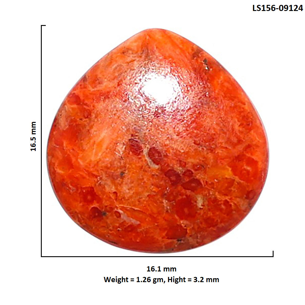 Red Sponge Coral 16.1x16.5x3.2 mm Heart Shape Polished Gemstone LS156-09124