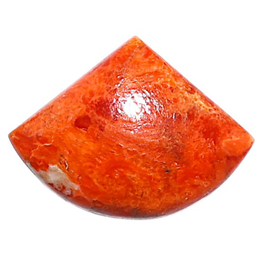 Red Sponge Coral 15x20x4 mm Fancy Shape Polished Gemstone LS156-09125