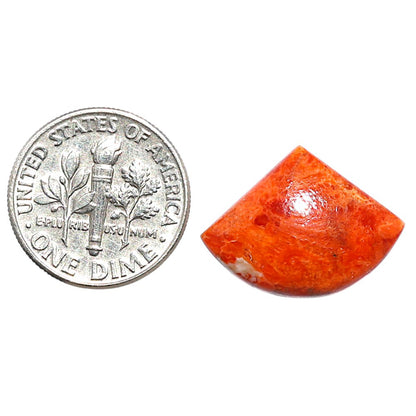 Red Sponge Coral 15x20x4 mm Fancy Shape Polished Gemstone LS156-09125