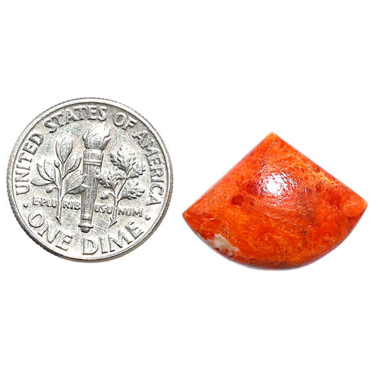 Red Sponge Coral 15x20x4 mm Fancy Shape Polished Gemstone LS156-09125