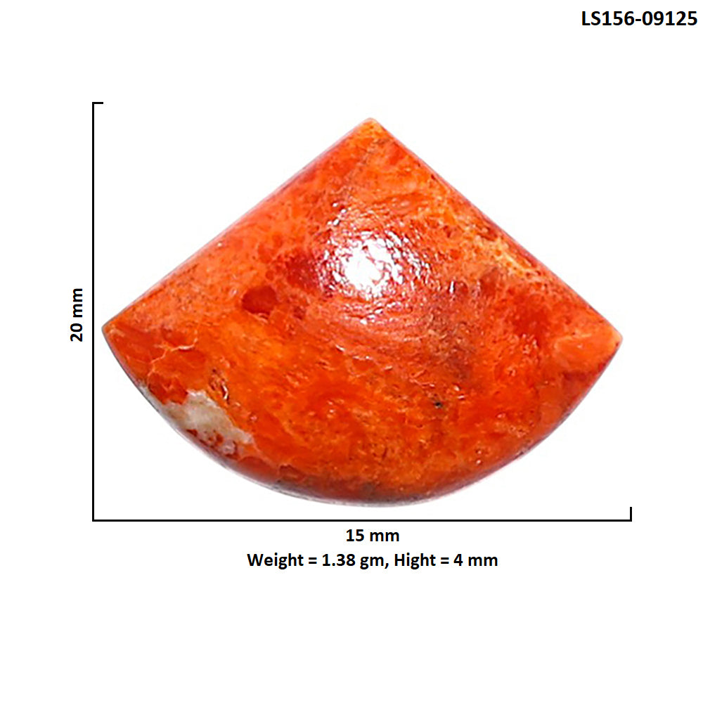 Red Sponge Coral 15x20x4 mm Fancy Shape Polished Gemstone LS156-09125