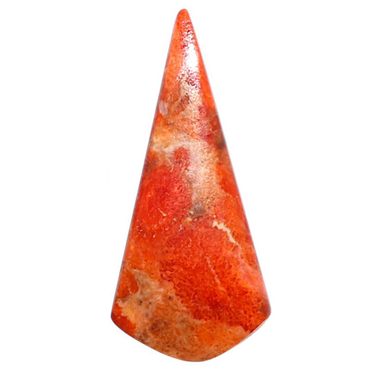 Red Sponge Coral 13.5x29.75x3 mm Fancy Shape Polished Gemstone LS156-09126