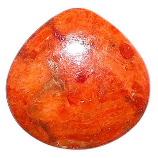 Red Sponge Coral 18.8x19x4 mm Heart Shape Polished Gemstone LS156-09127