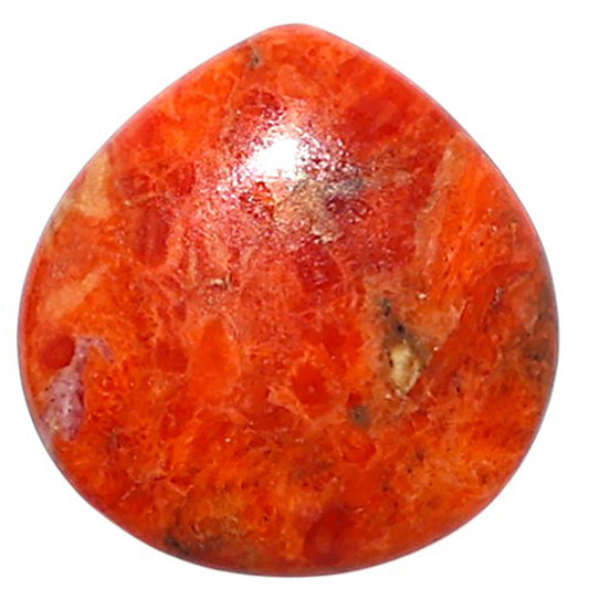 Red Sponge Coral 16.8x17.2x3 mm Heart Shape Polished Gemstone LS156-09128