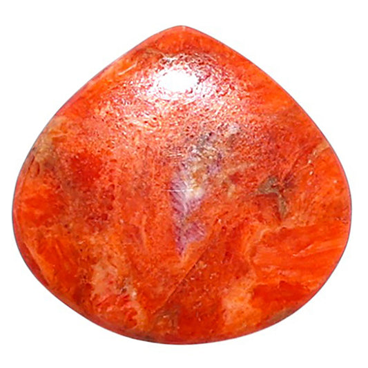 Red Sponge Coral 17x18x2.2 mm Heart Shape Polished Gemstone LS156-09129