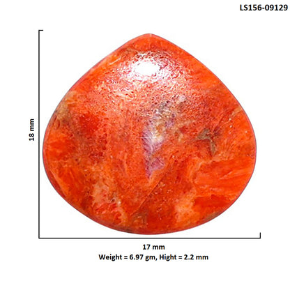 Red Sponge Coral 17x18x2.2 mm Heart Shape Polished Gemstone LS156-09129