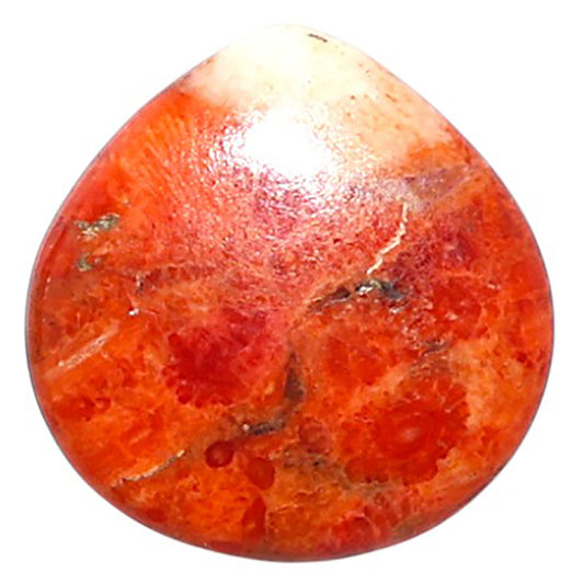 Red Sponge Coral 16.4x16.6x3 mm Heart Shape Polished Gemstone LS156-09130