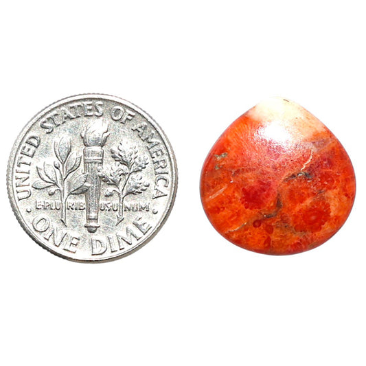 Red Sponge Coral 16.4x16.6x3 mm Heart Shape Polished Gemstone LS156-09130
