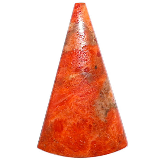 Red Sponge Coral 15x25.55x3.6 mm Fancy Shape Polished Gemstone LS156-09132