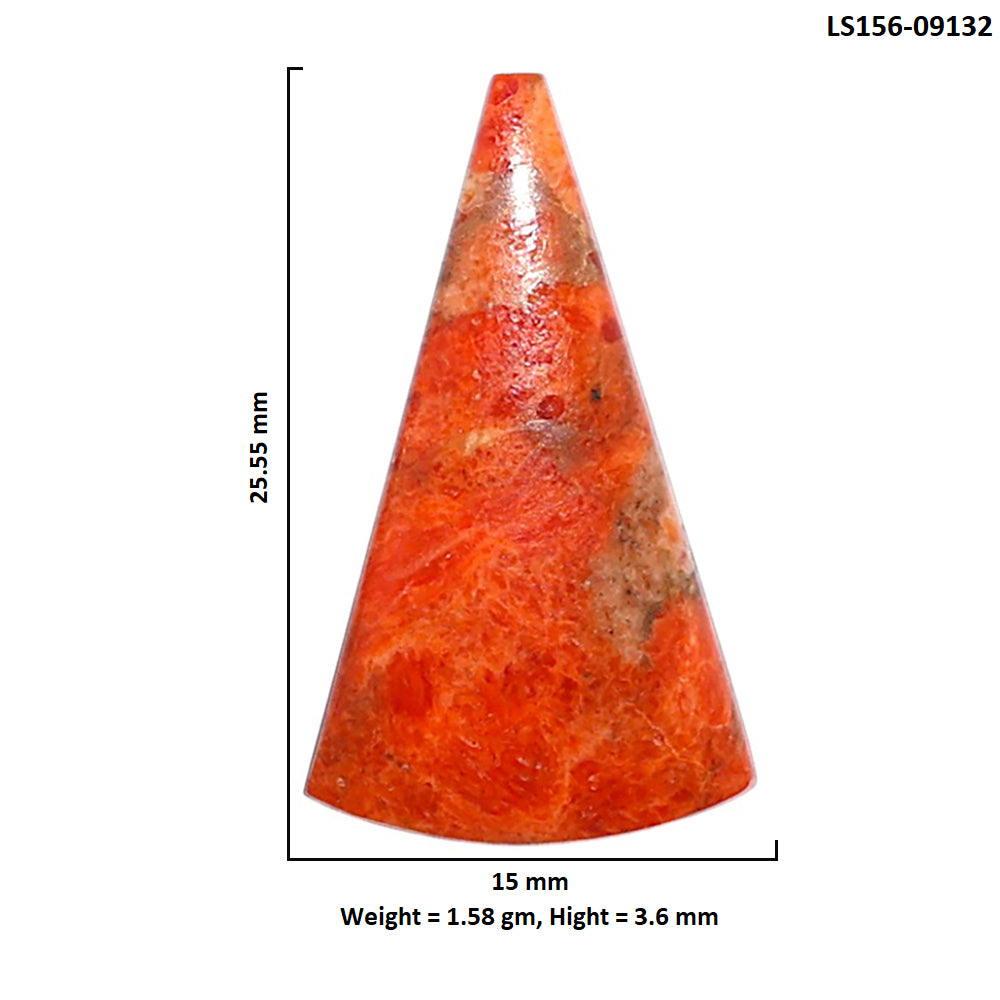 Red Sponge Coral 15x25.55x3.6 mm Fancy Shape Polished Gemstone LS156-09132