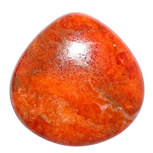 Red Sponge Coral 15.5x15.5x3.5 mm Heart Shape Polished Gemstone LS156-09133