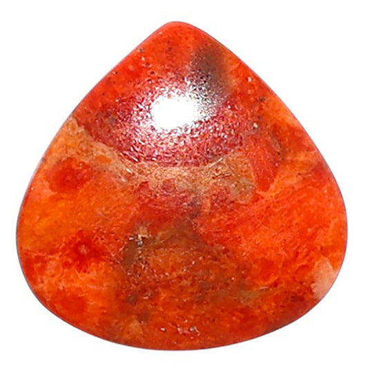 Red Sponge Coral 16.5x16.5x2.8 mm Heart Shape Polished Gemstone LS156-09134
