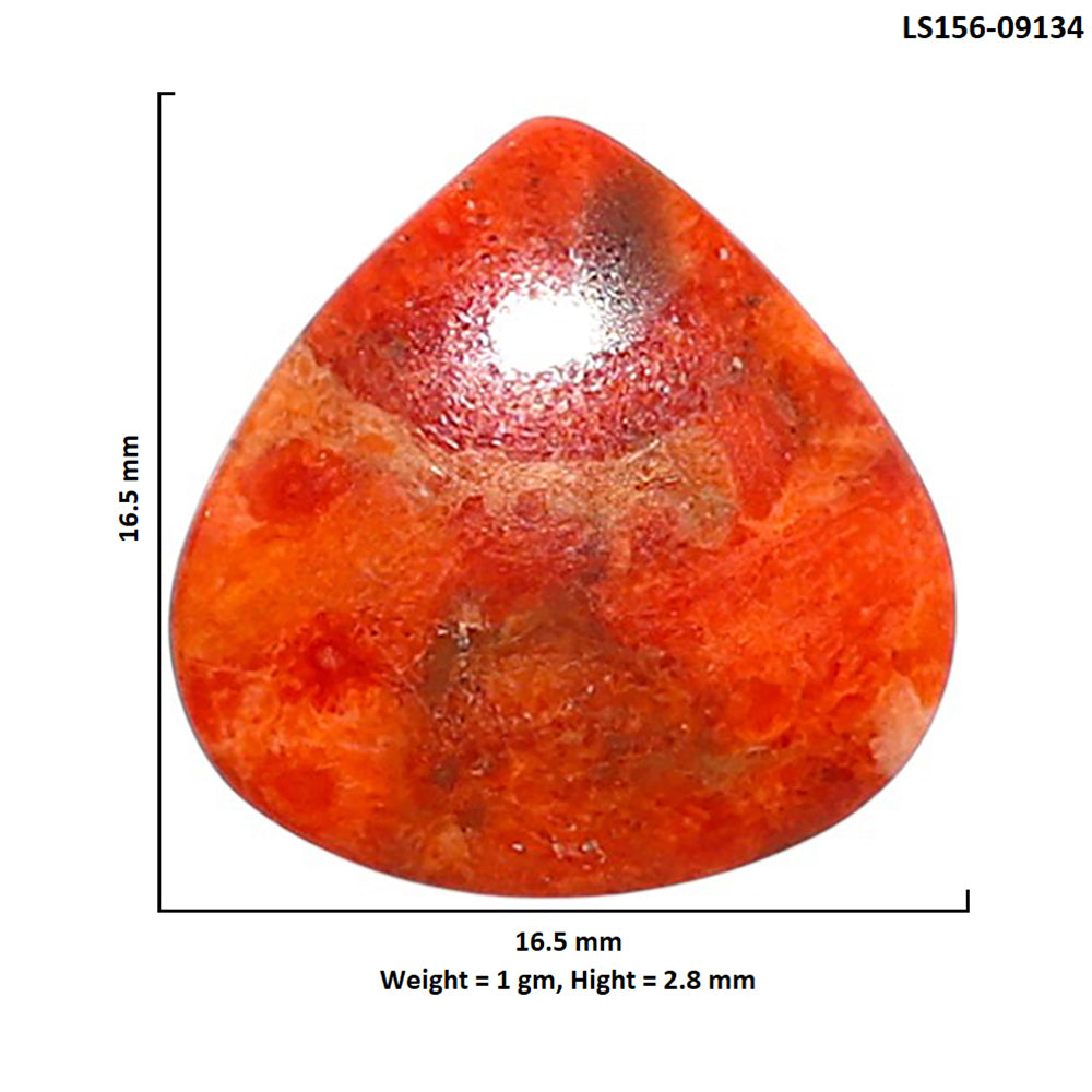 Red Sponge Coral 16.5x16.5x2.8 mm Heart Shape Polished Gemstone LS156-09134