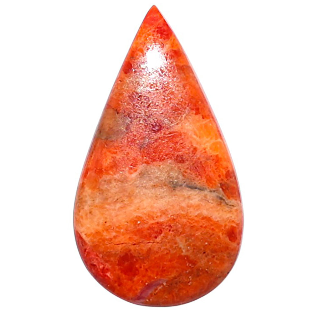 Red Sponge Coral 13.2x23.4x2.5 mm Pear Shape Polished Gemstone LS156-09135