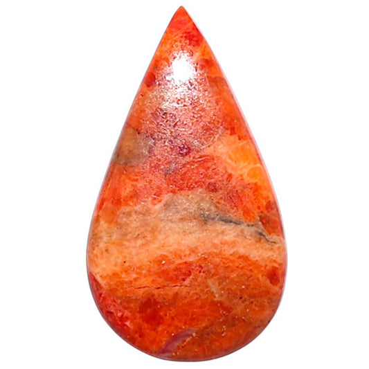 Red Sponge Coral 13.2x23.4x2.5 mm Pear Shape Polished Gemstone LS156-09135
