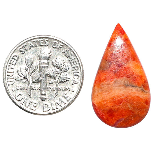 Red Sponge Coral 13.2x23.4x2.5 mm Pear Shape Polished Gemstone LS156-09135