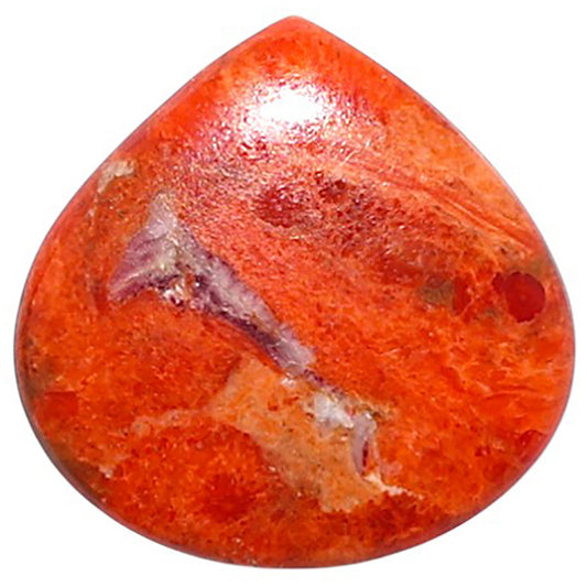 Red Sponge Coral 17.9x18.2x2.7 mm Heart Shape Polished Gemstone LS156-09136