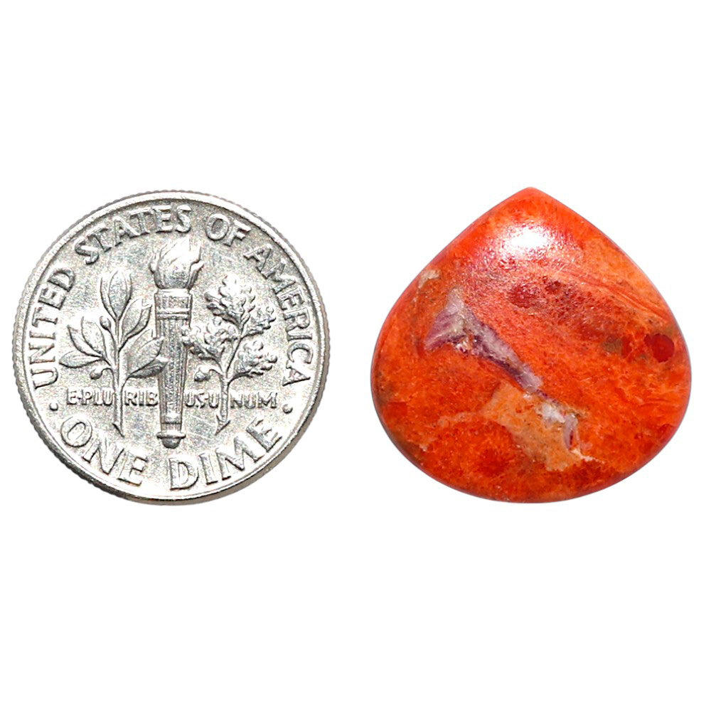 Red Sponge Coral 17.9x18.2x2.7 mm Heart Shape Polished Gemstone LS156-09136
