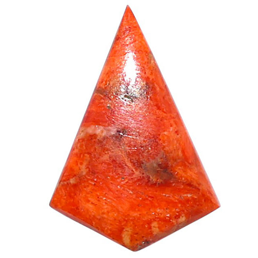 Red Sponge Coral 15.3x22.2x3 mm Fancy Shape Polished Gemstone LS156-09137