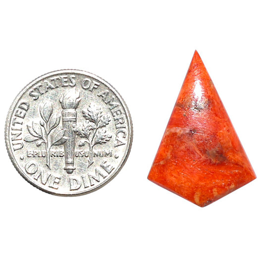 Red Sponge Coral 15.3x22.2x3 mm Fancy Shape Polished Gemstone LS156-09137
