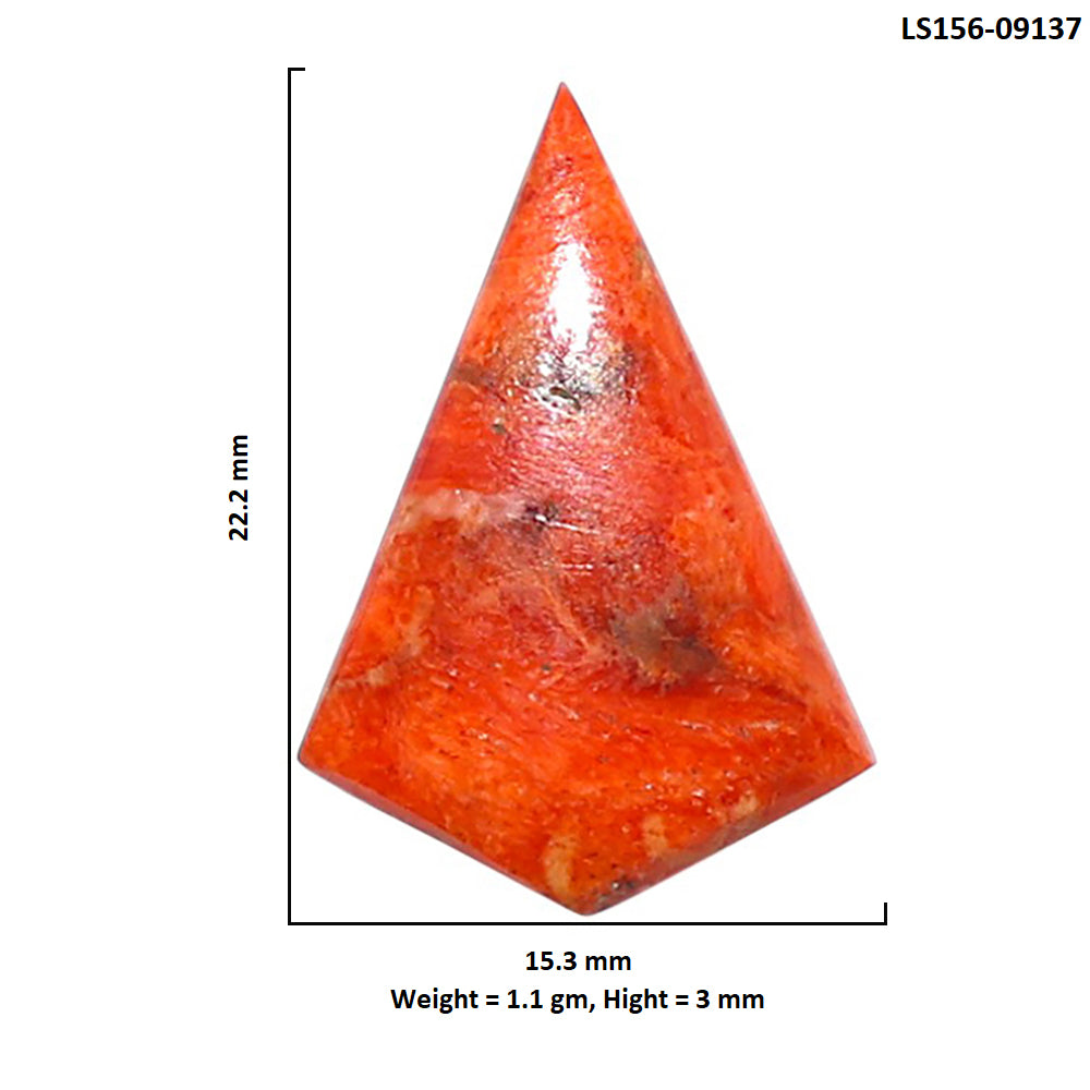 Red Sponge Coral 15.3x22.2x3 mm Fancy Shape Polished Gemstone LS156-09137