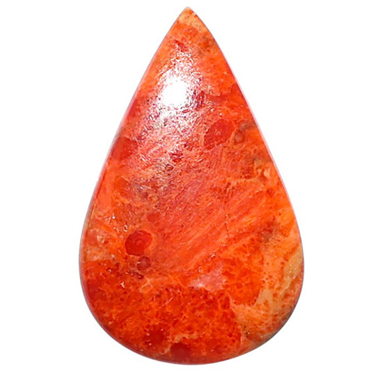 Red Sponge Coral 15.6x24.9x3.5 mm Pear Shape Polished Gemstone LS156-09138