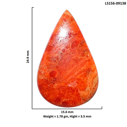 Red Sponge Coral 15.6x24.9x3.5 mm Pear Shape Polished Gemstone LS156-09138