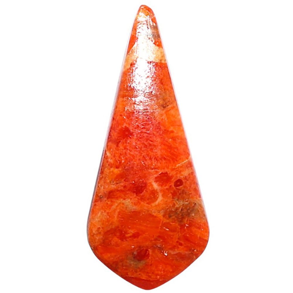 Red Sponge Coral 12.8x29.6x3 mm Fancy Shape Polished Gemstone LS156-09139