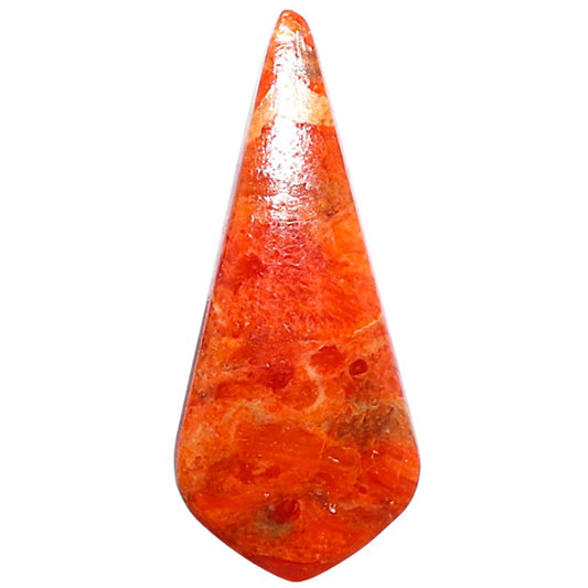 Red Sponge Coral 12.8x29.6x3 mm Fancy Shape Polished Gemstone LS156-09139