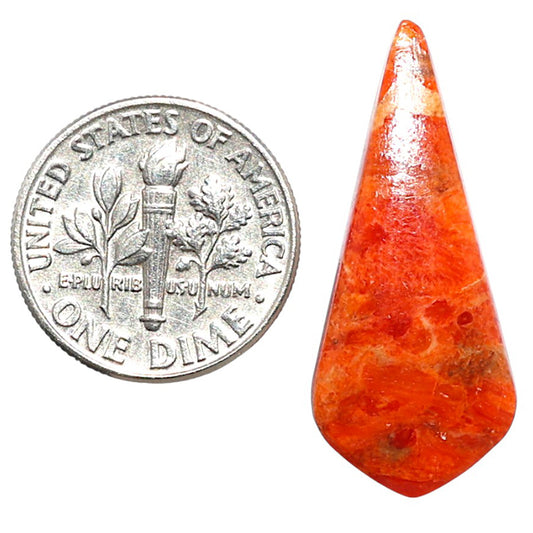 Red Sponge Coral 12.8x29.6x3 mm Fancy Shape Polished Gemstone LS156-09139