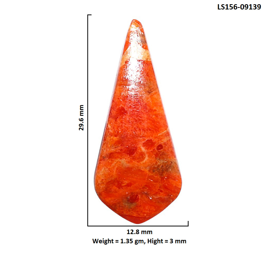 Red Sponge Coral 12.8x29.6x3 mm Fancy Shape Polished Gemstone LS156-09139