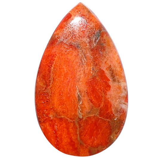 Red Sponge Coral 16.2x26.65x2.8 mm Pear Shape Polished Gemstone LS156-09140