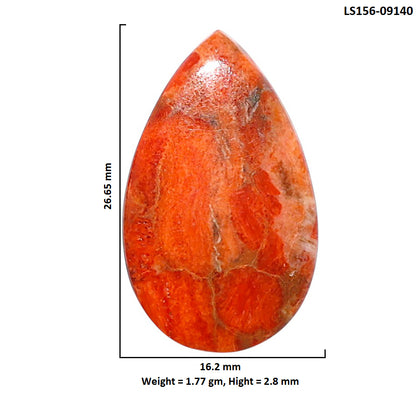 Red Sponge Coral 16.2x26.65x2.8 mm Pear Shape Polished Gemstone LS156-09140