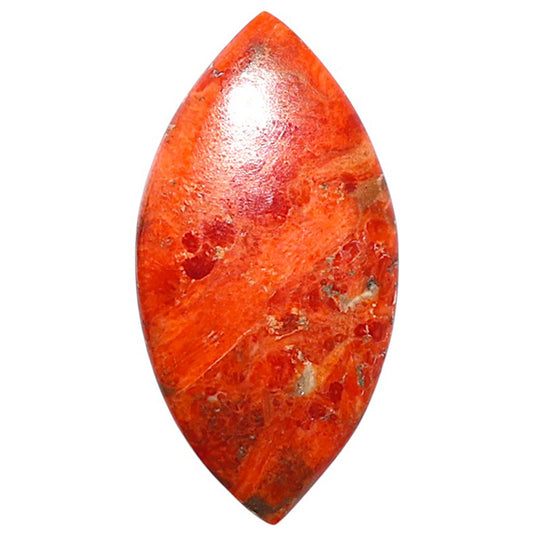 Red Sponge Coral 15.8x30.75x3 mm Marquise Shape Polished Gemstone LS156-09141