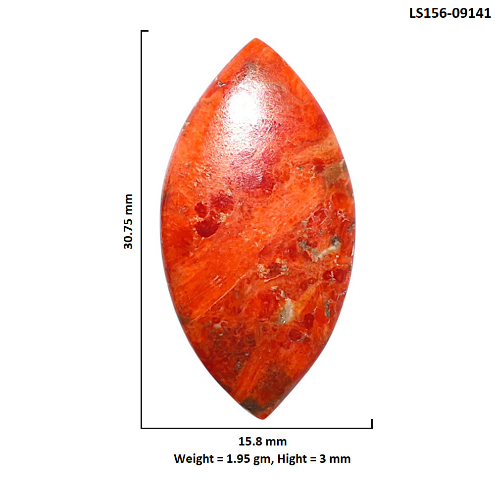 Red Sponge Coral 15.8x30.75x3 mm Marquise Shape Polished Gemstone LS156-09141