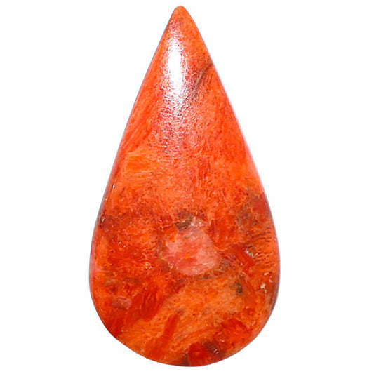 Red Sponge Coral 16x30x3 mm Pear Shape Polished Gemstone LS156-09142