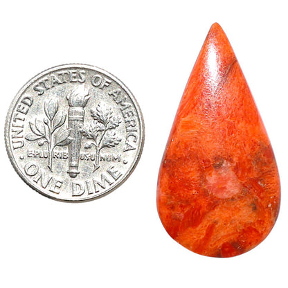 Red Sponge Coral 16x30x3 mm Pear Shape Polished Gemstone LS156-09142