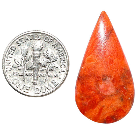 Red Sponge Coral 16x30x3 mm Pear Shape Polished Gemstone LS156-09142