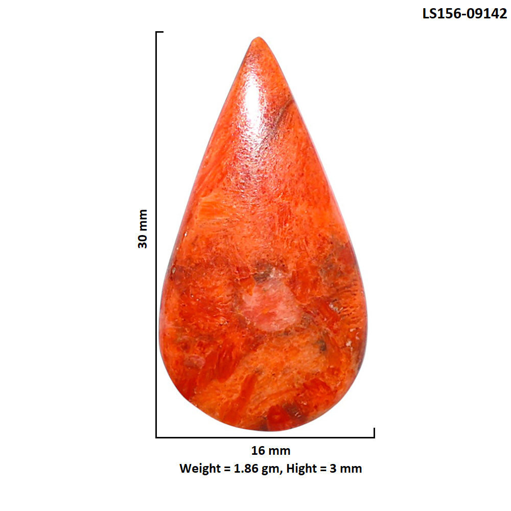Red Sponge Coral 16x30x3 mm Pear Shape Polished Gemstone LS156-09142