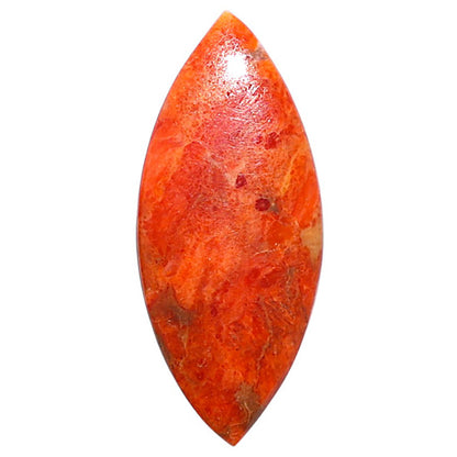 Red Sponge Coral 14x32.45x3 mm Marquise Shape Polished Gemstone LS156-09143
