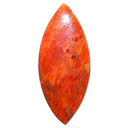 Red Sponge Coral 14x32.45x3 mm Marquise Shape Polished Gemstone LS156-09143