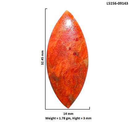 Red Sponge Coral 14x32.45x3 mm Marquise Shape Polished Gemstone LS156-09143